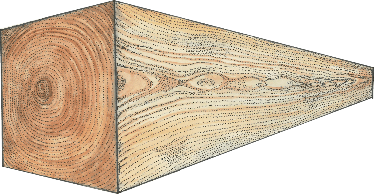 大径材イメージ図