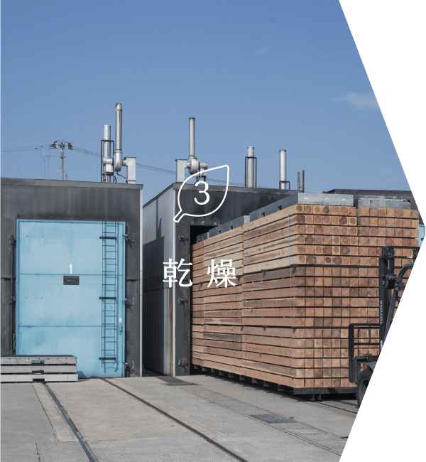 乾燥