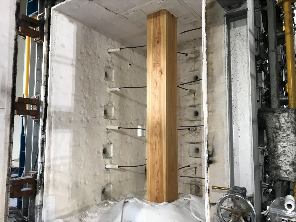 国土交通大臣認定取得済みの大径材画像